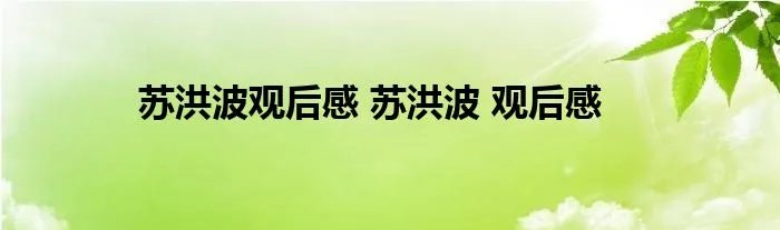 苏洪波观后感 苏洪波 观后感