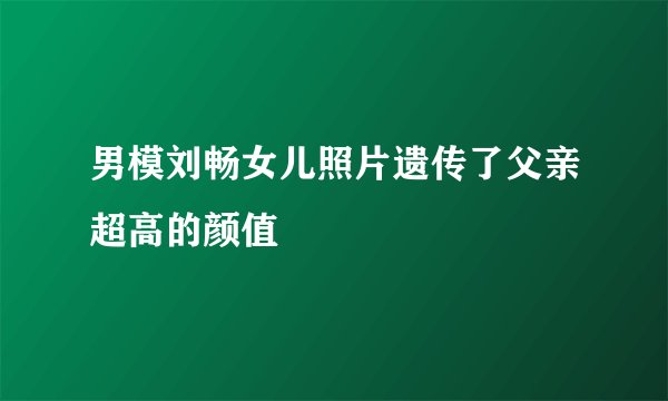 男模刘畅女儿照片遗传了父亲超高的颜值