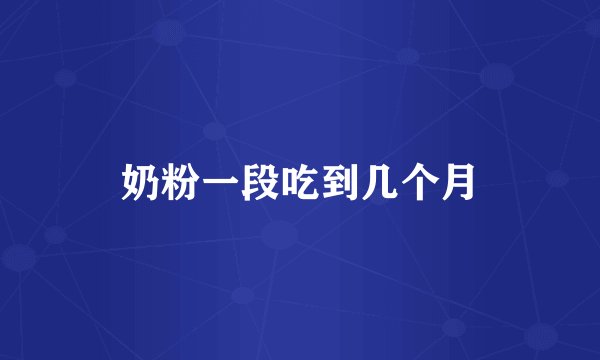 奶粉一段吃到几个月