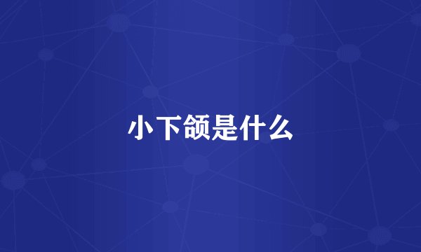 小下颌是什么