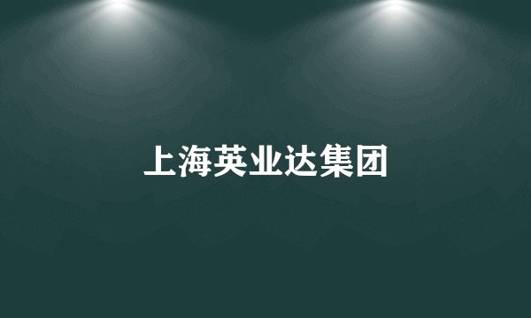 上海英业达集团