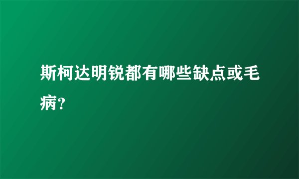 斯柯达明锐都有哪些缺点或毛病？