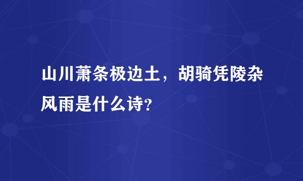 山川萧条极边土，胡骑凭陵杂风雨是什么诗？