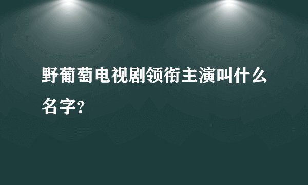 野葡萄电视剧领衔主演叫什么名字？