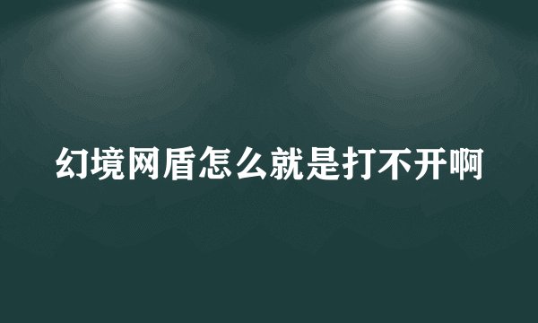 幻境网盾怎么就是打不开啊