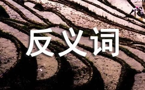 虎头蛇尾的反义词