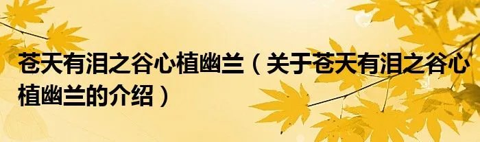 苍天有泪之谷心植幽兰（关于苍天有泪之谷心植幽兰的介绍）