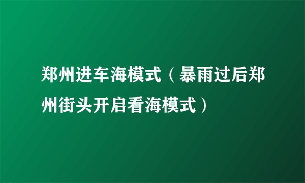 郑州进车海模式(暴雨过后郑州街头开启看海模式)