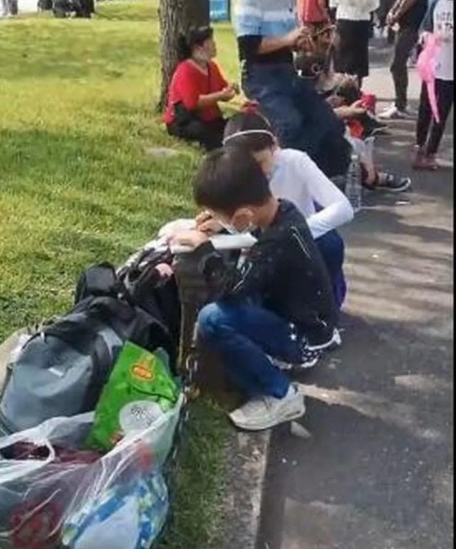 11岁男孩游西湖时蹲地上写作文,他为何在西湖前做作业?