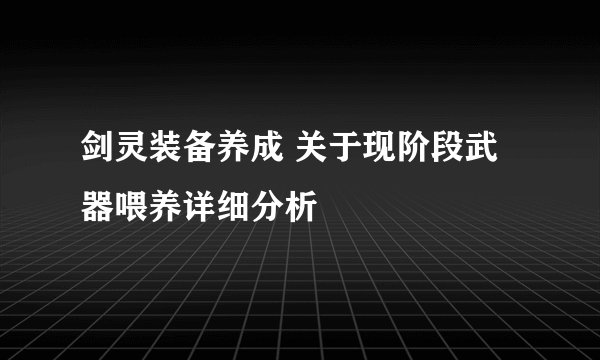 剑灵装备养成 关于现阶段武器喂养详细分析