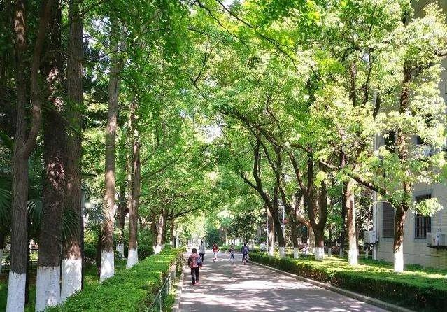 同班17人被空军录取，这个班级的老师是怎么教育学生的？