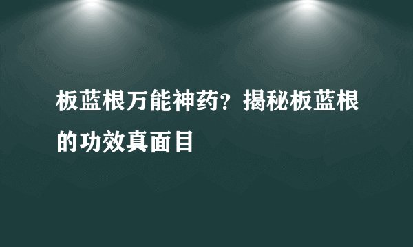 板蓝根万能神药？揭秘板蓝根的功效真面目