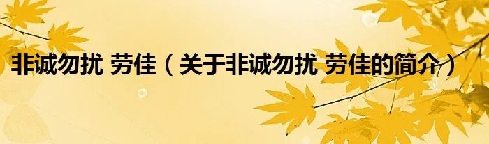 非诚勿扰 劳佳（关于非诚勿扰 劳佳的简介）