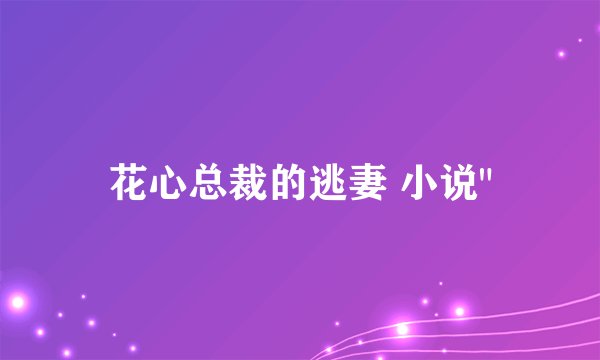 花心总裁的逃妻 小说