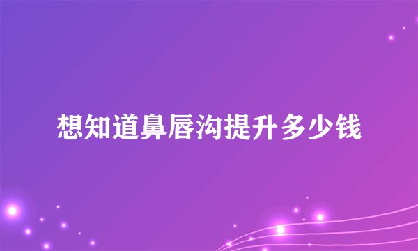 想知道鼻唇沟提升多少钱