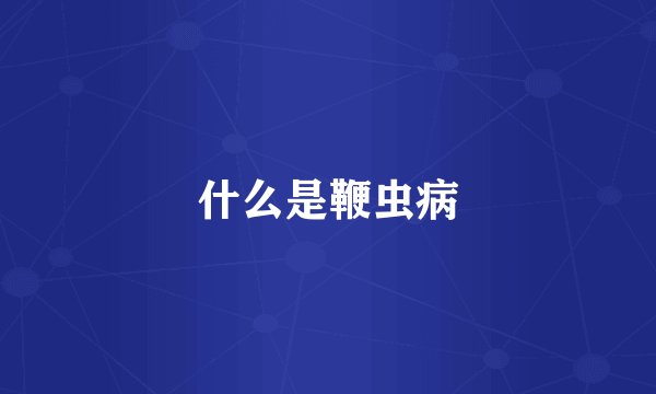 什么是鞭虫病