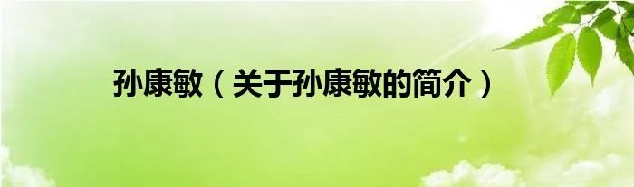 孙康敏（关于孙康敏的简介）