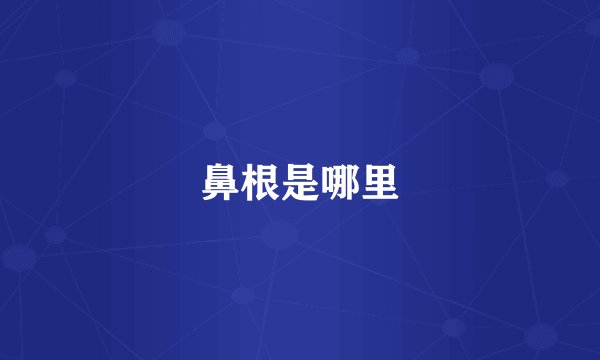 鼻根是哪里