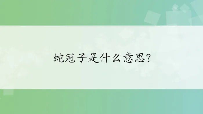 蛇冠子是什么意思?