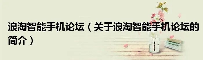 浪淘智能手机论坛（关于浪淘智能手机论坛的简介）