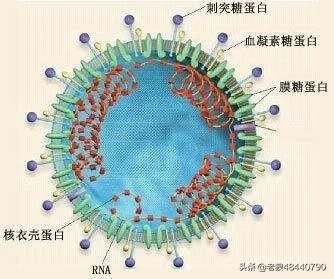 从华盛顿州宣布紧急状态看,可能全美爆发,美国有无财力去控制疫情?