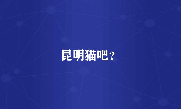昆明猫吧？