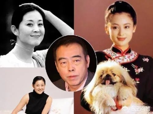 倪萍感谢苦难,苦难带来了什么?