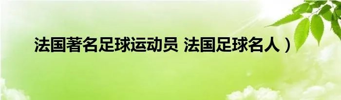 法国著名足球运动员 法国足球名人）