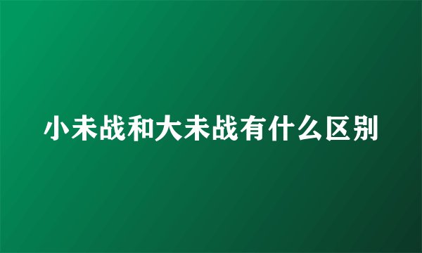 小未战和大未战有什么区别