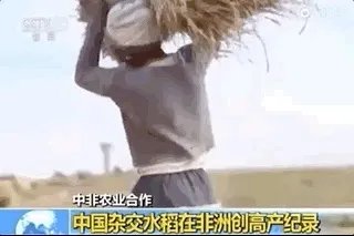 袁隆平真的逝世了吗?