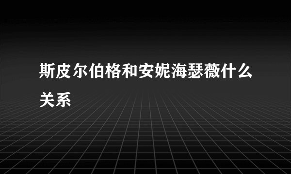 斯皮尔伯格和安妮海瑟薇什么关系