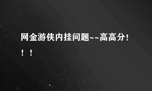 网金游侠内挂问题~~高高分！！！