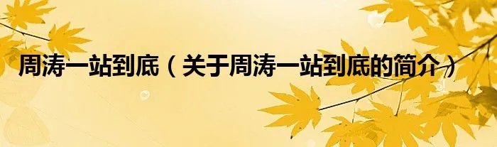 周涛一站到底（关于周涛一站到底的简介）