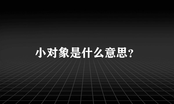 小对象是什么意思？