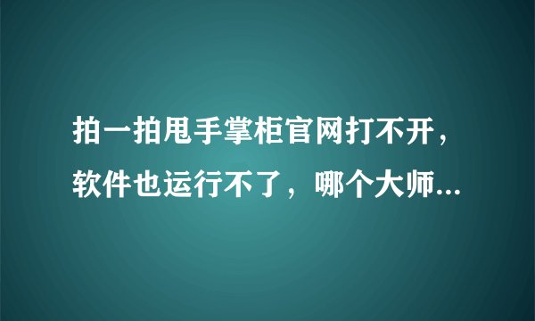 拍一拍甩手掌柜官网打不开，软件也运行不了，哪个大师告诉我下什么原因啊...帮帮忙啊...QQ：498961273