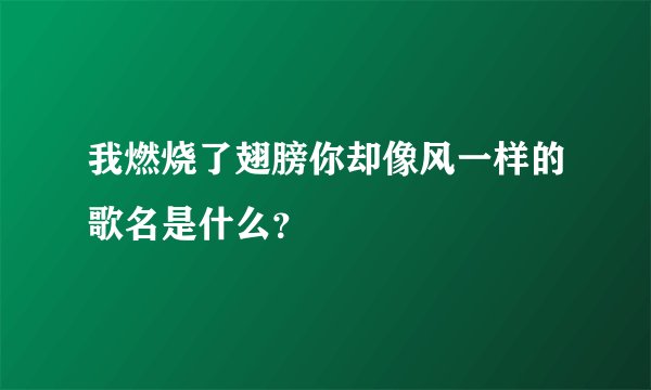 我燃烧了翅膀你却像风一样的歌名是什么?