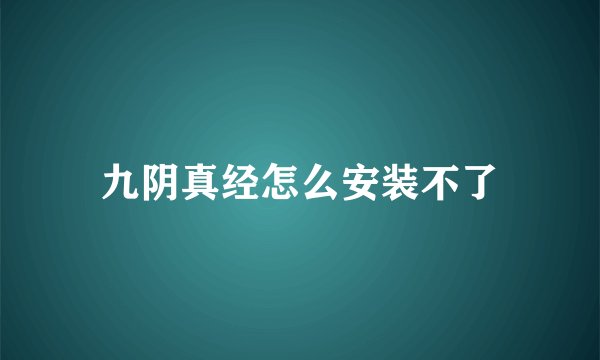九阴真经怎么安装不了