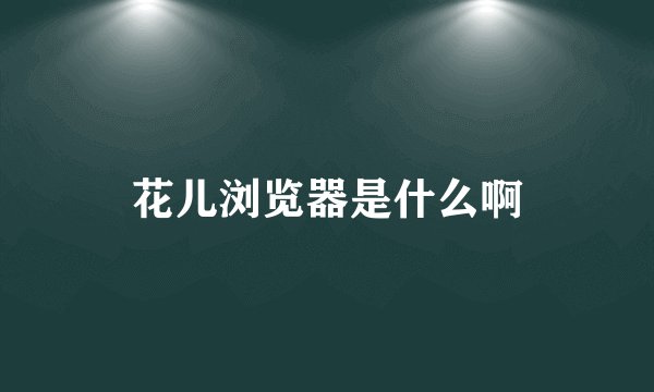 花儿浏览器是什么啊
