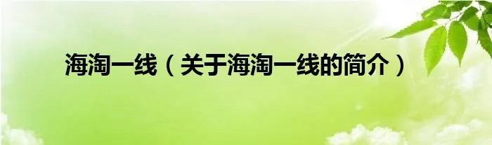 海淘一线（关于海淘一线的简介）