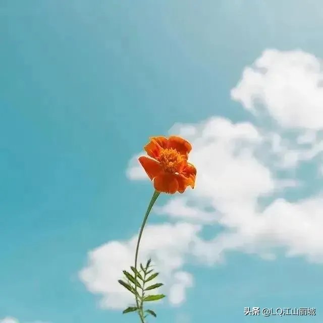 网传李小璐PGone跳同款舞，你怎么看？