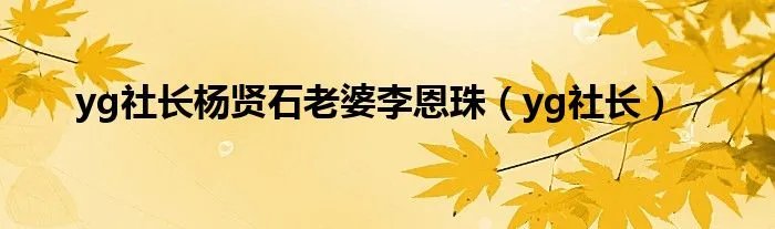 yg社长杨贤石老婆李恩珠（yg社长）