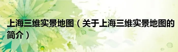 上海三维实景地图（关于上海三维实景地图的简介）