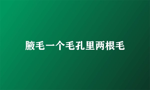 腋毛一个毛孔里两根毛
