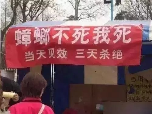 你所见过最奇葩的广告词和店铺名称是什么?分享一下?