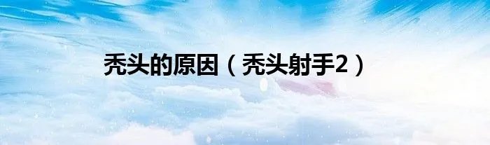 秃头的原因（秃头射手2）
