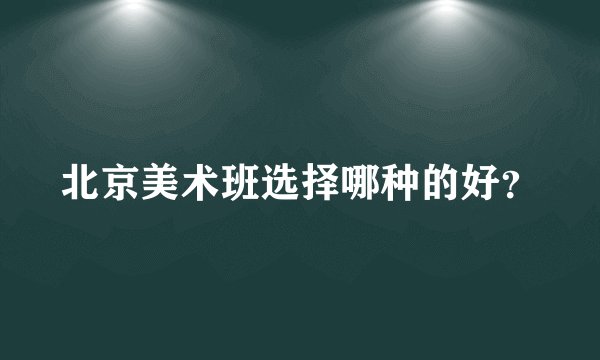 北京美术班选择哪种的好？