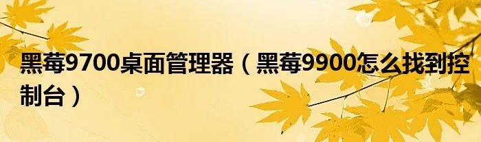 黑莓9700桌面管理器(黑莓9900怎么找到控制台)
