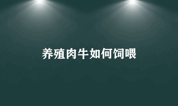 养殖肉牛如何饲喂