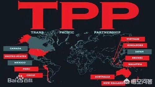 新TPP将生效，日本能填补美国留下的“真空”吗？