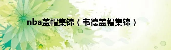 nba盖帽集锦(韦德盖帽集锦)